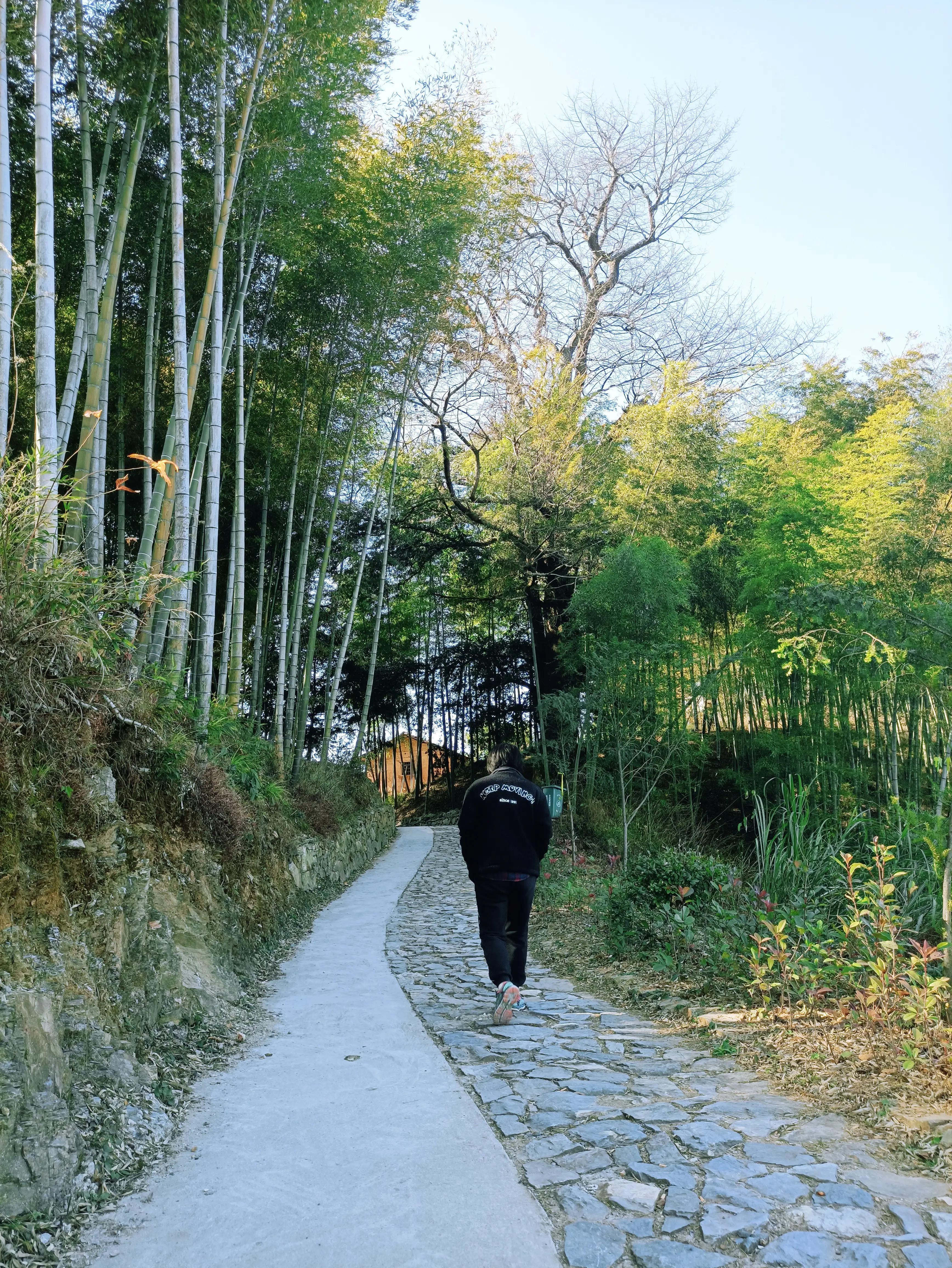 墨脱旅游线路_墨脱旅游攻略_墨脱旅游须知