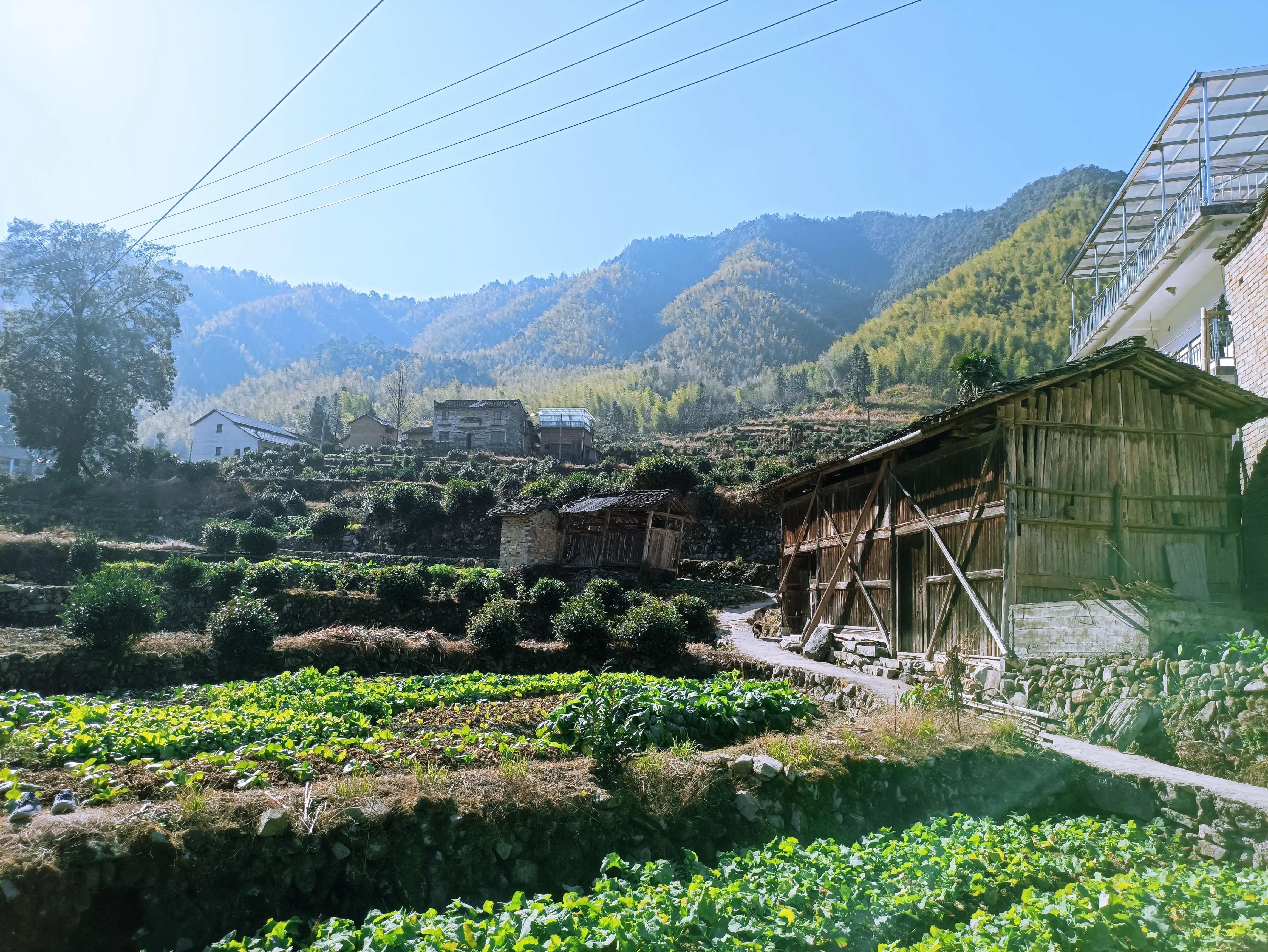 墨脱旅游线路_墨脱旅游须知_墨脱旅游攻略