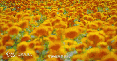 甘肃金昌哪里好玩_甘肃金昌景点_甘肃金昌旅游攻略