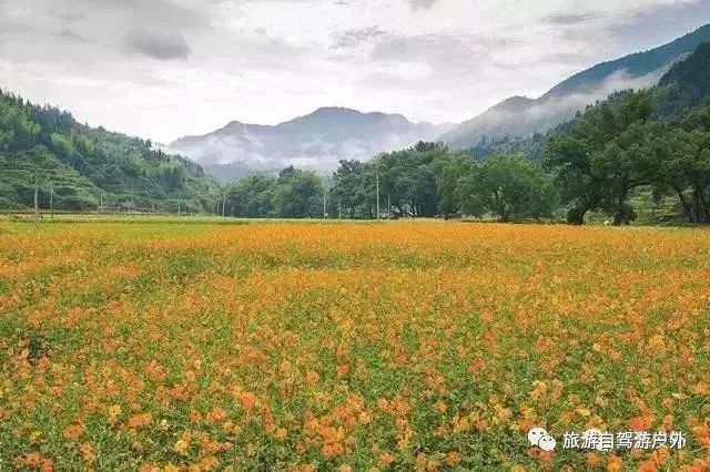 绍兴到西塘开车要多久_绍兴到西塘旅游攻略_绍兴去西塘怎么坐高铁