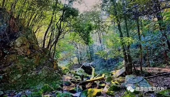 绍兴去西塘怎么坐高铁_绍兴到西塘开车要多久_绍兴到西塘旅游攻略