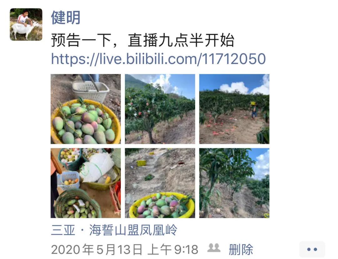 三亚呀诺达一日游多少钱_三亚旅游景点呀诺达_三亚呀诺达旅游攻略