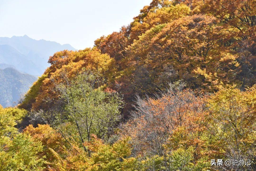 武当山神农架四日游_神农架武当山旅游攻略_湖北神农架武当山旅游攻略