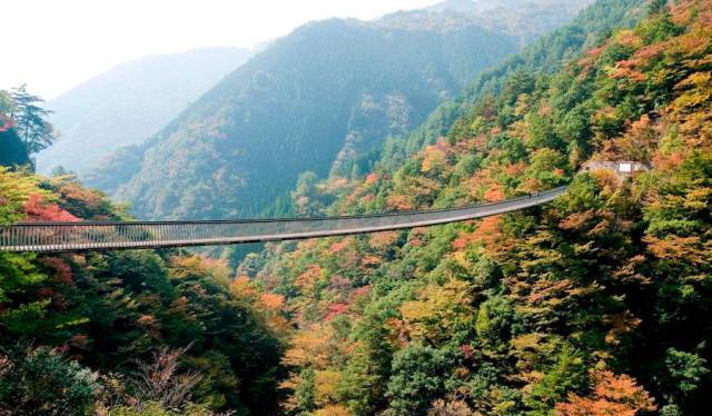 冲绳邮轮下船自由活动_邮轮冲绳旅游攻略_旅游游轮游日本冲绳岛