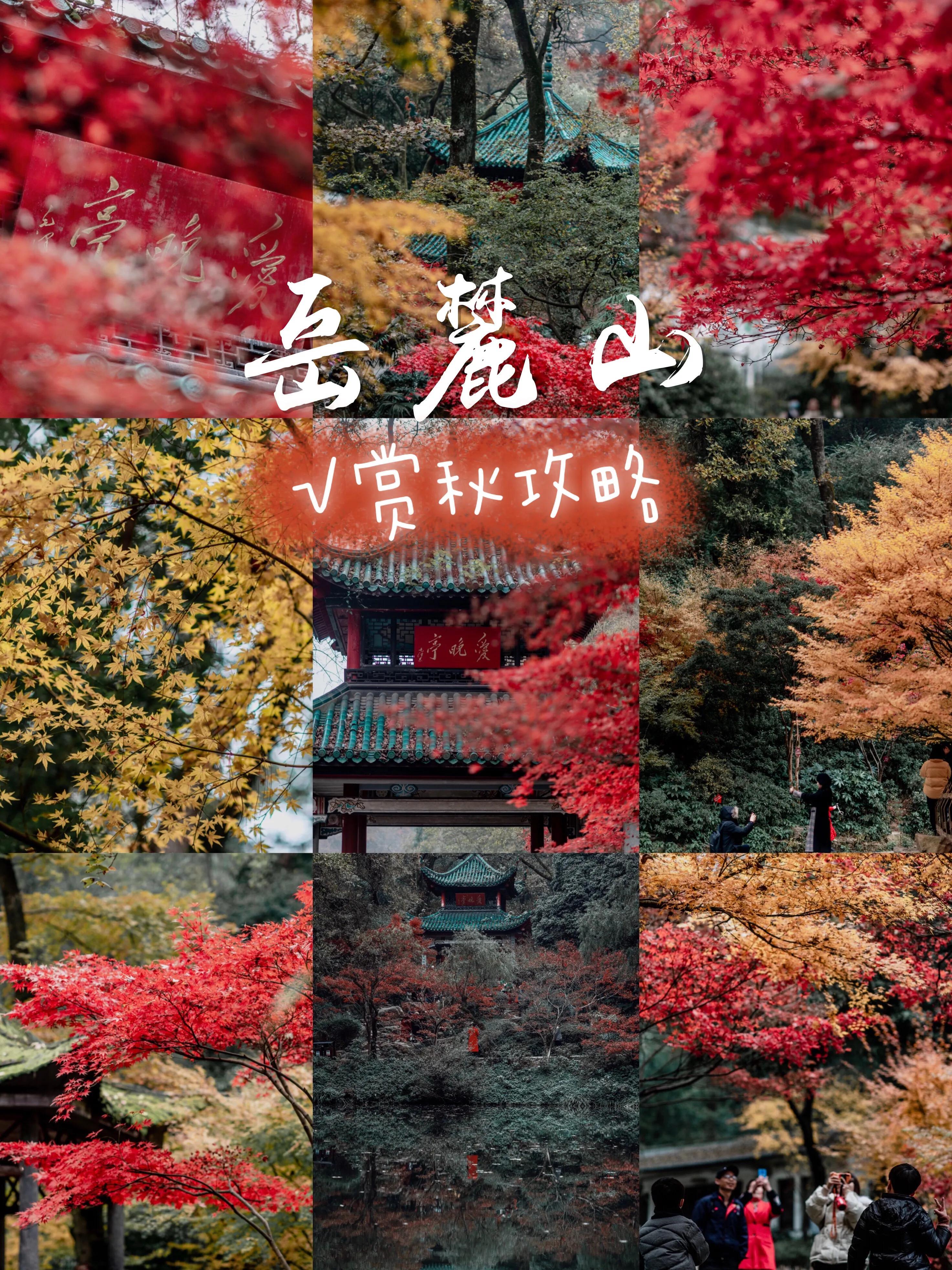 长沙岳麓山门票价格_长沙岳麓山旅游攻略_长沙岳麓山景点简介