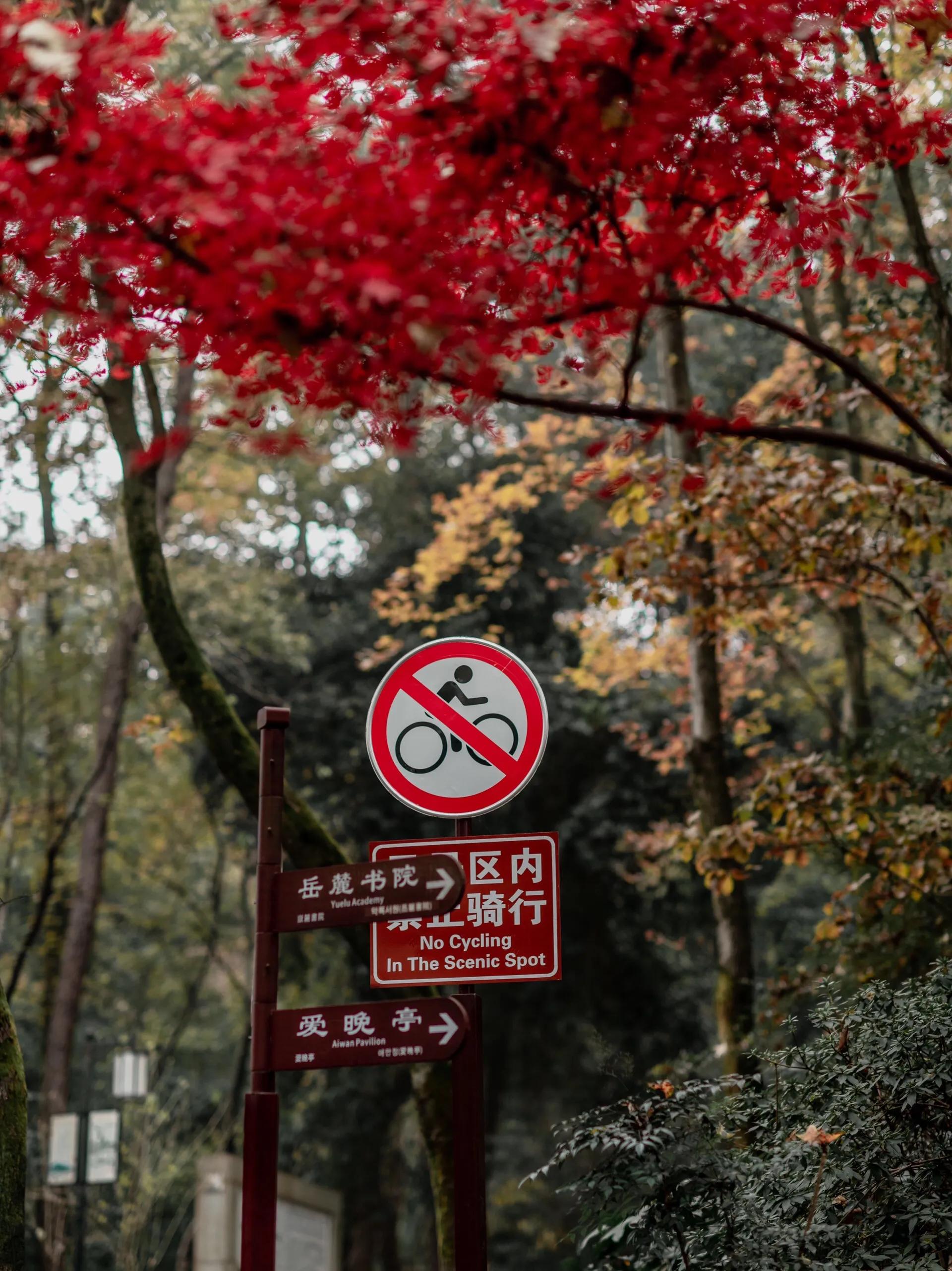 长沙岳麓山旅游攻略_长沙岳麓山门票价格_长沙岳麓山景点简介