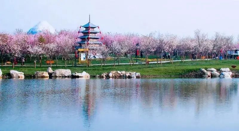 安仁古镇游记_安仁古镇旅游攻略_古镇攻略旅游安仁路线