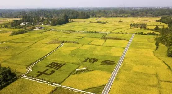 安仁古镇游记_安仁古镇旅游攻略_古镇攻略旅游安仁路线