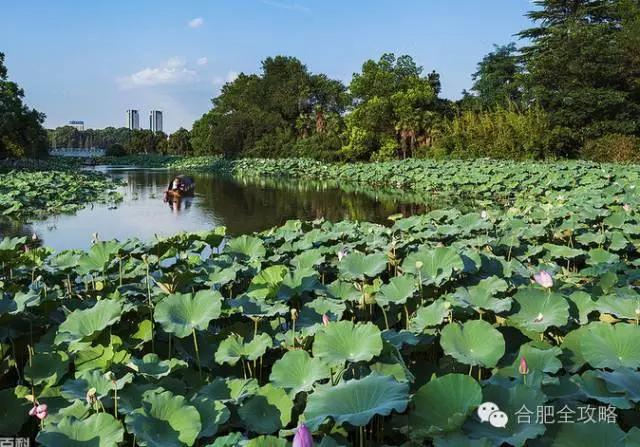 合肥自驾天柱山_合肥去天柱山旅游_合肥到天柱山旅游攻略