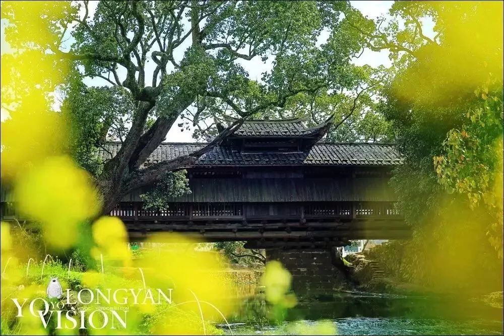 龙岩山国家森林公园_龙岩山景区旅游_龙岩冠豸山旅游攻略