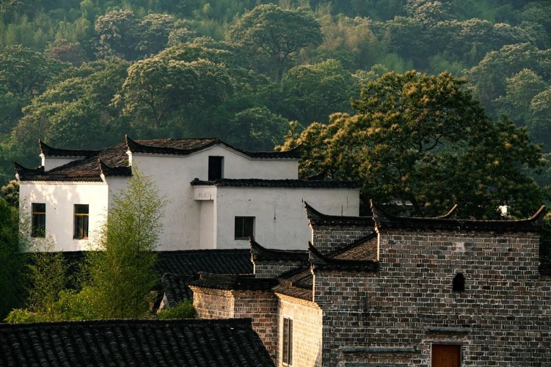 龙岩的山_龙岩冠豸山旅游攻略_龙岩山国家森林公园