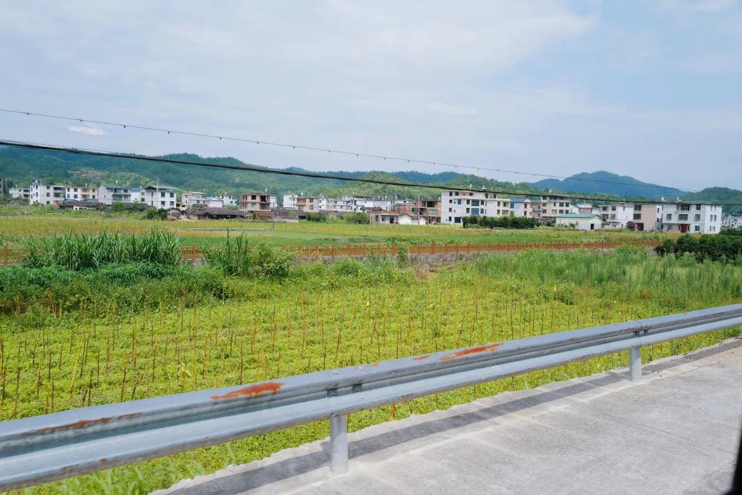 龙岩的山_龙岩冠豸山旅游攻略_龙岩山国家森林公园
