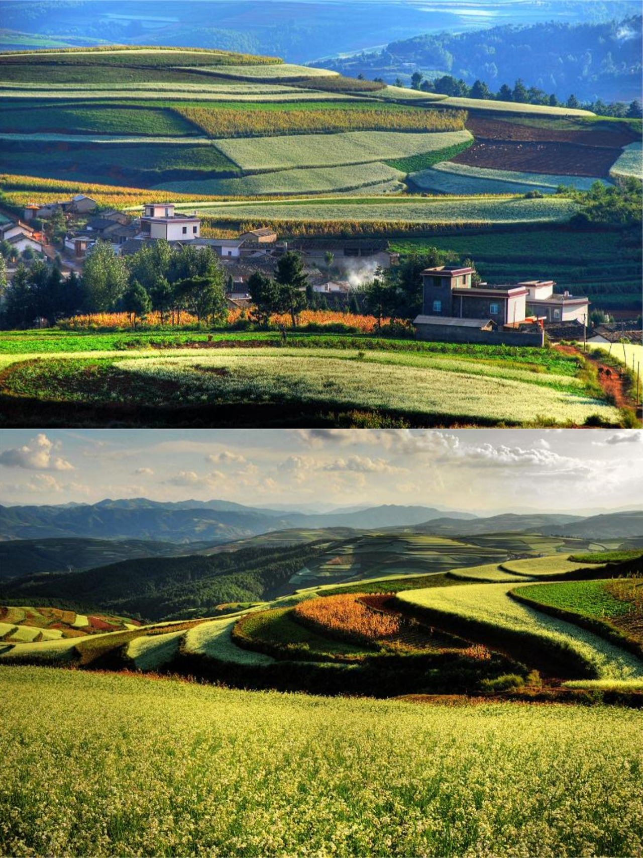 云南东川红土地旅游攻略_云南东川红土地景区_云南东川红土地最佳旅游季节