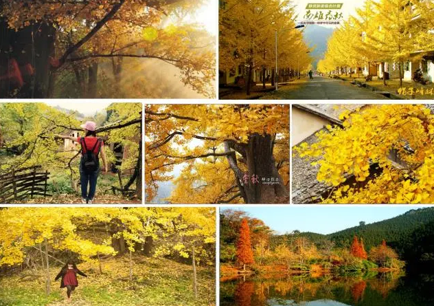 赣州到梅州旅游攻略_南昌到赣州旅游攻略_赣州南雄旅游攻略