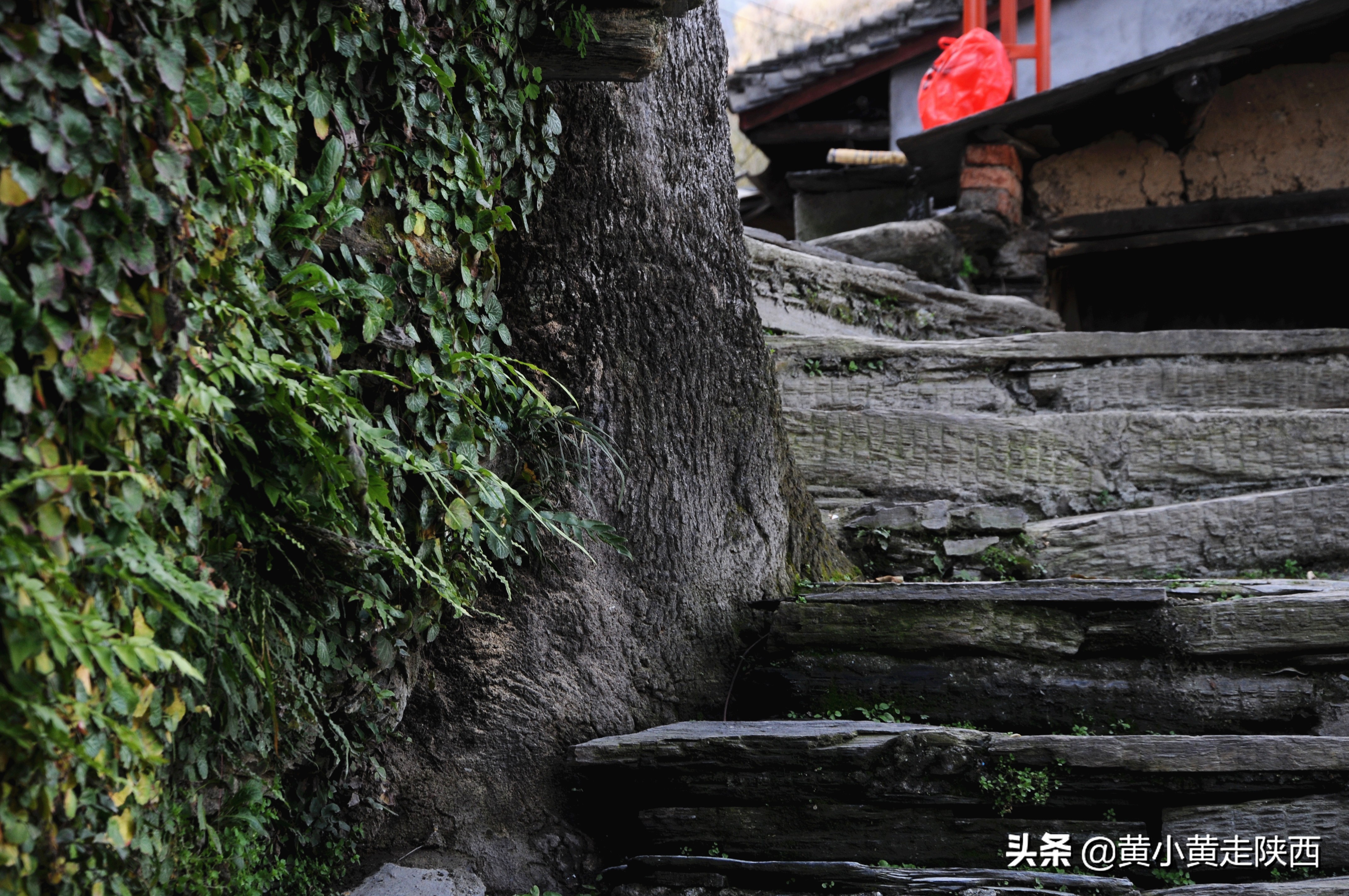 陕西紫阳旅游攻略_陕西紫阳好玩的地方是哪里_陕西紫阳旅游攻略景点必去