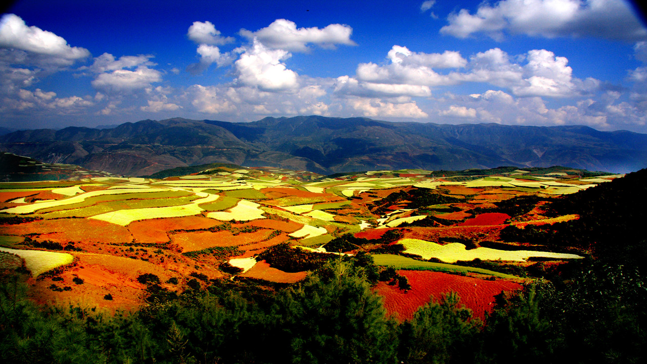 云南东川红土地旅游攻略_云南东川红土地景区_云南东川红土图片