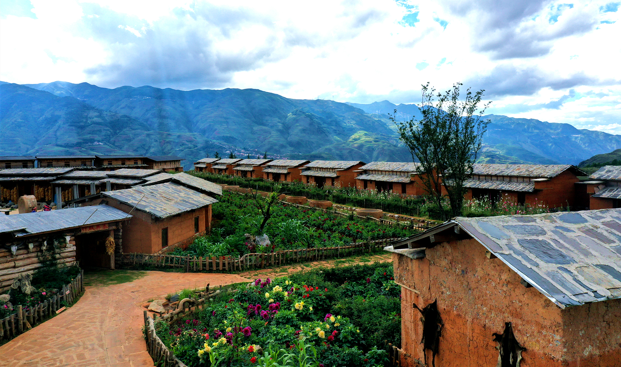 云南东川红土图片_云南东川红土地景区_云南东川红土地旅游攻略