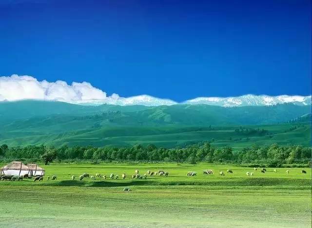 呼伦贝尔旅游攻略相关推荐_呼伦贝尔旅游攻略线路_呼伦贝尔旅游景点攻略