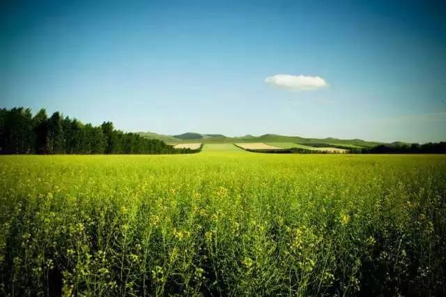 呼伦贝尔旅游景点攻略_呼伦贝尔旅游攻略线路_呼伦贝尔旅游攻略相关推荐