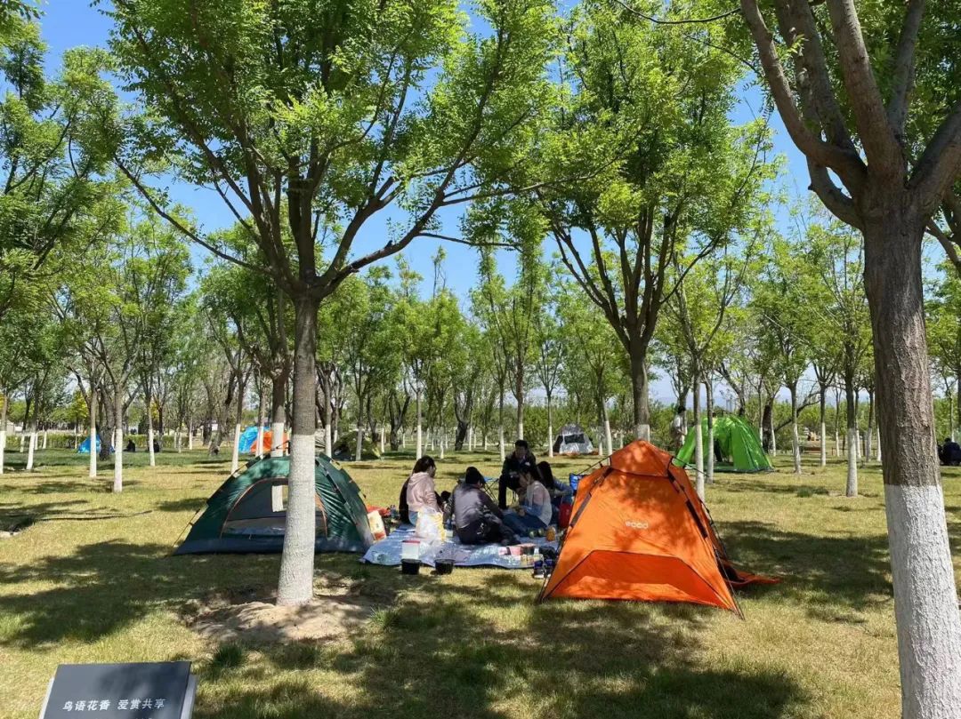 芦芽山旅游攻略二日游_芦芽山旅游攻略自驾游_自驾攻略旅游游芦芽山路线