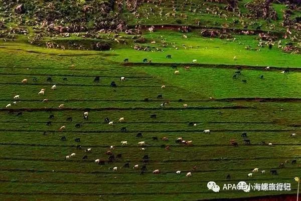 普者黑旅游攻略-普者黑旅游功略(图16) 普者黑旅游需要注意什么_普者黑旅游功略_普者黑旅游攻略