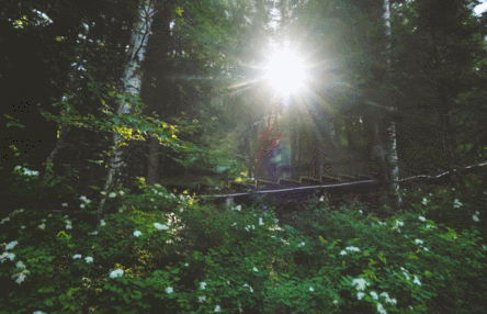 乌鲁木齐天山牧场旅游攻略_新疆天山旅游攻略_商洛九天山旅游攻略