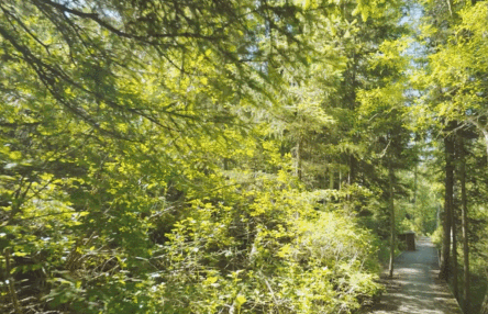 商洛九天山旅游攻略_新疆天山旅游攻略_乌鲁木齐天山牧场旅游攻略