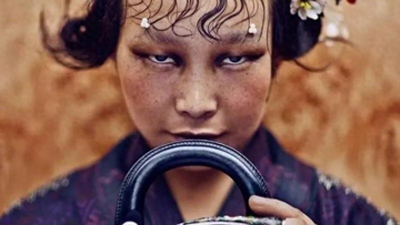 手提包女款2020新款_dior手提包价格和图片_dior中国风的时尚手提包图片
