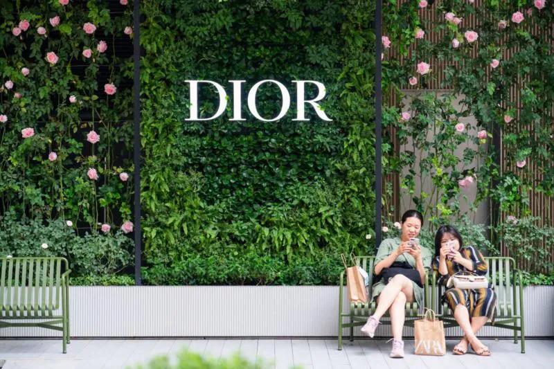 dior中国风的时尚手提包图片_dior手提包价格和图片_手提包女款2020新款
